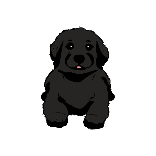 Black Labrador Puppy Icon